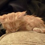 Daniel Randles - @randles_daniel - Instagram