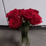 Daniel Randy - @danielrandy111 - Instagram
