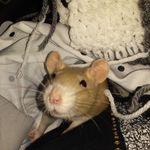 Daniel Raney - @draney_45 - Instagram