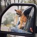 Daniel Raper - Facebook
