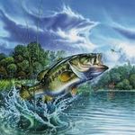 Daniel Raper - @bassslayer234 - Instagram