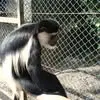 Daniel Rasch - @daniel.rasch1 - TikTok