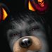 Daniel Rasmussen - Facebook