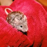Daniel Rat-cliff - @daniel.ratcliff - Instagram