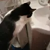 danielrauhut3 - @danielrauhut3 - TikTok