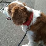 daniel matthew raynor - @danielmatthew_raynor - Instagram