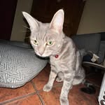 Daniel Raynor - @father.macros - Instagram