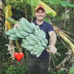 Daniel Reader - @danielreader2 - Instagram