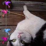 Daniel Reeder - @daniel.reeder.7503 - Instagram