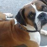 Daniel Reeder - @reeder_75 - Instagram