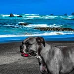 Daniel Reeder - @dreeder75 - Instagram