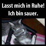@daniel__reinhardt - Instagram