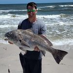 Daniel Remillard - @daniel_remill - Instagram