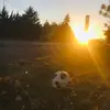 Daniel.019 - @daniel_rempel - TikTok