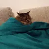 Daniel Rempel - @daniel.rempel2 - TikTok