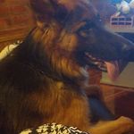 rempel daniel rempel - @rempeldanielrempel - Instagram