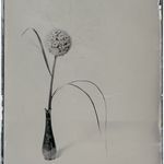 Daniel Fortmann/Marcus Renken - @collodionistas - Instagram