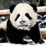 Daniel Reznikau - @daniel_reznikau8 - Instagram
