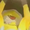 danielrhoden265 - @danielrhoden265 - TikTok