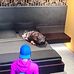 Daniel Rickett - Facebook