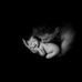 Daniel Riddle - Facebook
