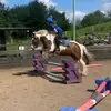 ᴅᴀɴɪᴇʟʟᴇ (ɢᴇᴏʀɢᴇ ᴇᴢʀᴀ ᴠᴇʀꜱɪᴏɴ) - @danielle.riding - TikTok