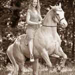 💫 Daniela Materna • DM-Riding Reitkunst trifft Wissenschaft - @dmriding_daniela_materna - Instagram