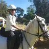 Daniel horses riding - @abusharider - TikTok