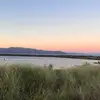 DanielpriebeISAGOAT - @daniel_priebe2 - TikTok