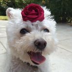 Danièle Riebel - Facebook