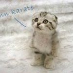 Daniela Riederer - @danielariederer - Instagram