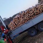 Daniel Straub-Riedler - @dstrabus - Instagram