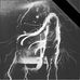 Daniel Rieger - Facebook