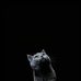 Ryan Daniel - Facebook