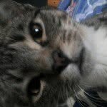 Daniel_R - @daniel_rieko - Instagram