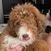 Danielle - @danielle_riemann - TikTok