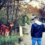 Daniel_Riesen - @daniel_riesen - Instagram