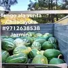 Daniel El Riesgos - @daniel.el.riesgos - TikTok