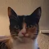 danielrietz09 - @danielrietz09 - TikTok