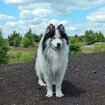Daniel Rigney - @rigney.daniel - Instagram