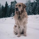 Daniel Říha - @jen_tvuj_lasko - Instagram