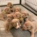 Daniel Richard - Facebook
