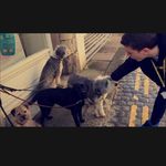 Daniel Rimmer - @dan.rimmer_ - Instagram