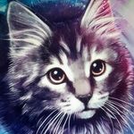 Daniel Rinner - @d.rinner - Instagram
