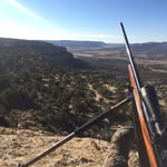 Daniel Ripepi - @dan_ripepi - Instagram