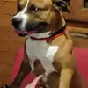 danieleripepi - @danieleripepi - TikTok