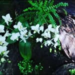 ☆_☆DANIEL RISCO☆_☆ - @daniel_risco_14 - Instagram