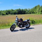 Daniel Risner - @mr.danielrisner - Instagram