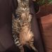 Daniel Riss - Facebook