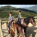 Daniel Risso - @danielrisso4 - Instagram